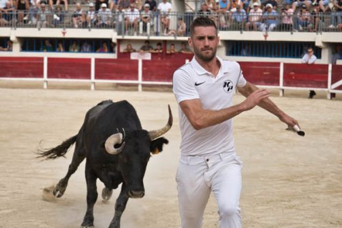 400-vl-Course-Camarguaise-5