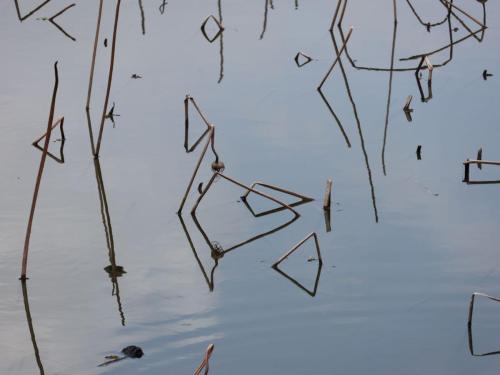 Geometrie