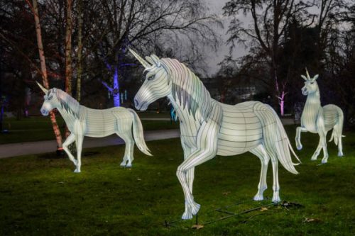 MM Winterlichter-2025 DSC7273-400
