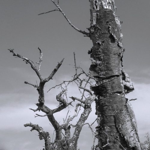 Mahnmal 1