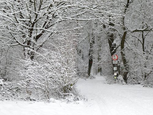 Schnee in Bad Vilbel | Ist der Weg frei?