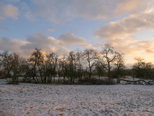 Schnee in Bad Vilbel | Abendstimmung