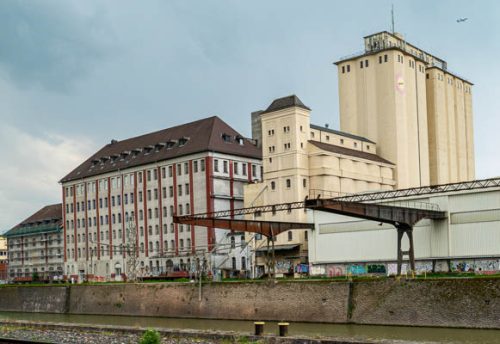 Rosi 4 Aurora (1)