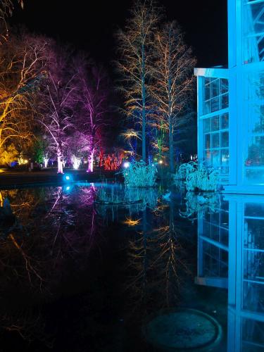 Winterlichter