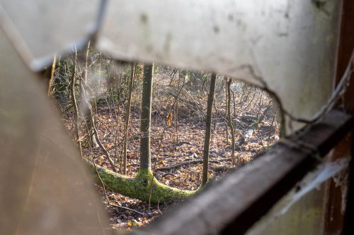 Durchblicke | Alter Bauwagen