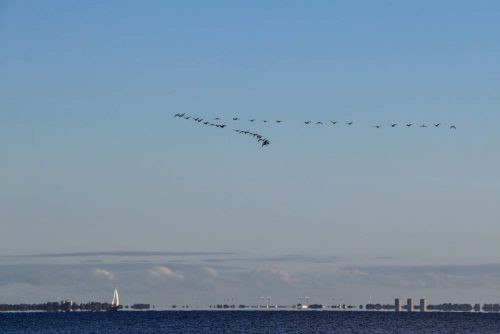 Ostsee