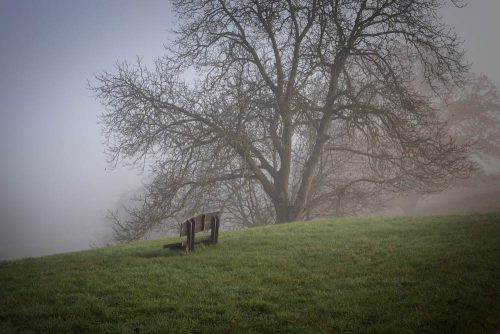 Herbstmorgen am Vilbeler Hang
